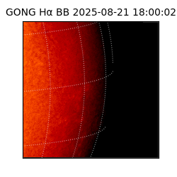 gong - 2025-08-21T18:00:02
