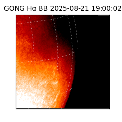 gong - 2025-08-21T19:00:02