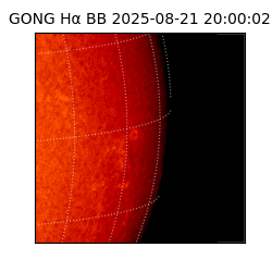 gong - 2025-08-21T20:00:02