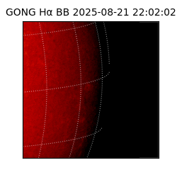 gong - 2025-08-21T22:02:02