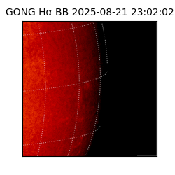 gong - 2025-08-21T23:02:02