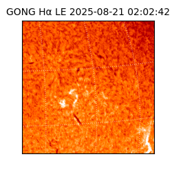 gong - 2025-08-21T02:02:42