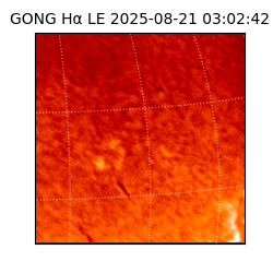 gong - 2025-08-21T03:02:42