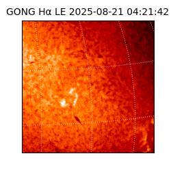 gong - 2025-08-21T04:21:42
