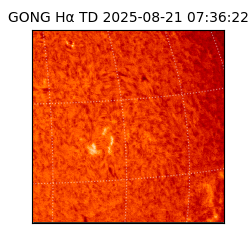 gong - 2025-08-21T07:36:22