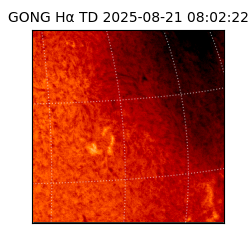 gong - 2025-08-21T08:02:22