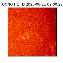 gong - 2025-08-21T09:00:22