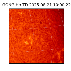 gong - 2025-08-21T10:00:22