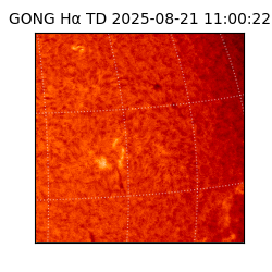 gong - 2025-08-21T11:00:22