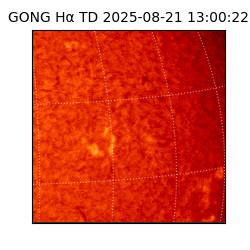 gong - 2025-08-21T13:00:22