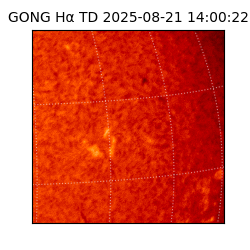 gong - 2025-08-21T14:00:22