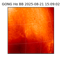 gong - 2025-08-21T15:09:02