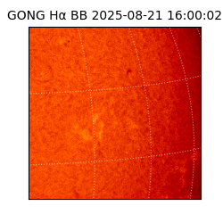 gong - 2025-08-21T16:00:02