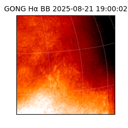 gong - 2025-08-21T19:00:02