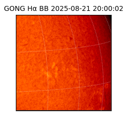 gong - 2025-08-21T20:00:02