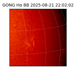 gong - 2025-08-21T22:02:02