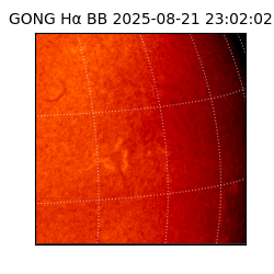 gong - 2025-08-21T23:02:02