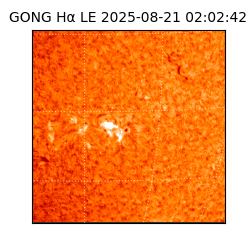 gong - 2025-08-21T02:02:42