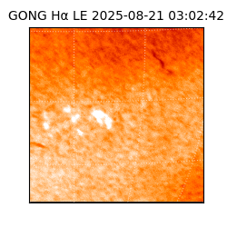 gong - 2025-08-21T03:02:42