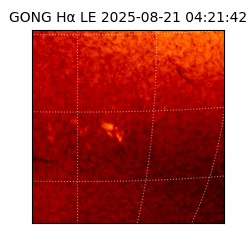 gong - 2025-08-21T04:21:42