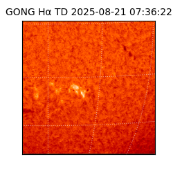 gong - 2025-08-21T07:36:22