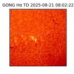 gong - 2025-08-21T08:02:22