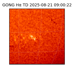 gong - 2025-08-21T09:00:22