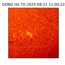 gong - 2025-08-21T11:00:22