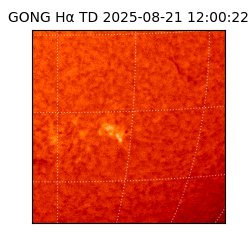 gong - 2025-08-21T12:00:22