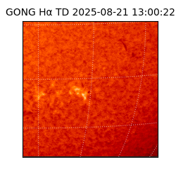 gong - 2025-08-21T13:00:22
