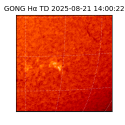 gong - 2025-08-21T14:00:22