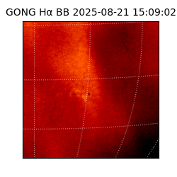 gong - 2025-08-21T15:09:02