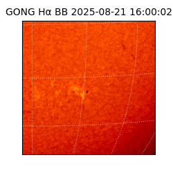 gong - 2025-08-21T16:00:02