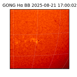 gong - 2025-08-21T17:00:02