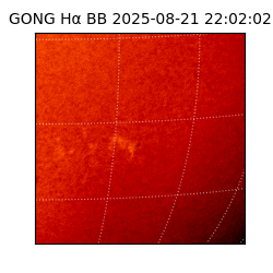 gong - 2025-08-21T22:02:02
