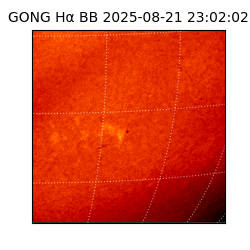gong - 2025-08-21T23:02:02