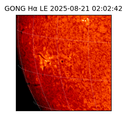 gong - 2025-08-21T02:02:42