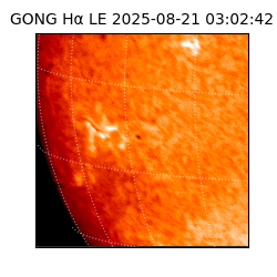 gong - 2025-08-21T03:02:42