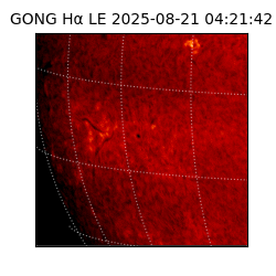 gong - 2025-08-21T04:21:42