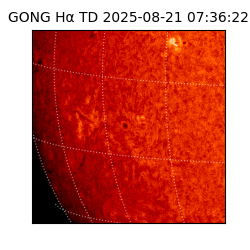 gong - 2025-08-21T07:36:22