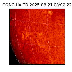 gong - 2025-08-21T08:02:22