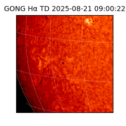 gong - 2025-08-21T09:00:22