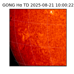 gong - 2025-08-21T10:00:22
