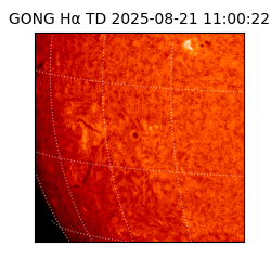 gong - 2025-08-21T11:00:22