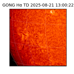 gong - 2025-08-21T13:00:22
