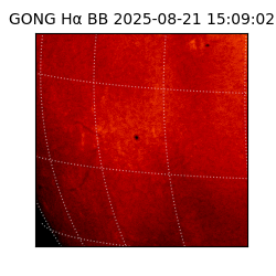gong - 2025-08-21T15:09:02