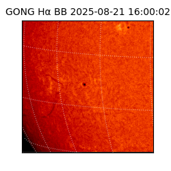 gong - 2025-08-21T16:00:02