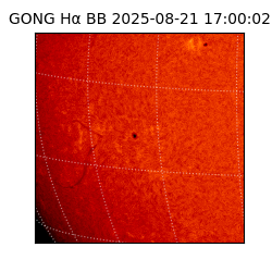 gong - 2025-08-21T17:00:02