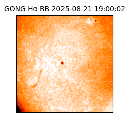 gong - 2025-08-21T19:00:02