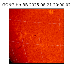 gong - 2025-08-21T20:00:02